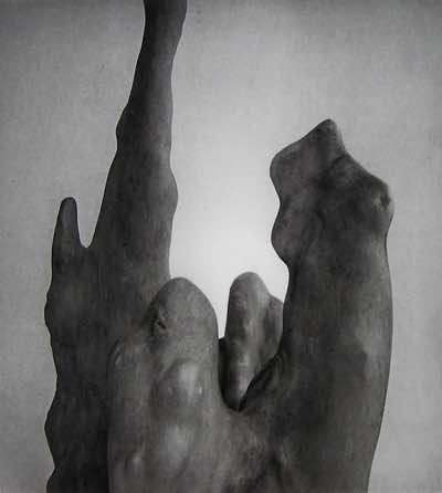 This gravure was part of a print exchange entitled ROOTS, dustgrain photogravure, 2014