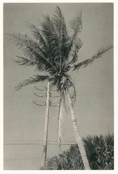 2022, analogue aquatint screen