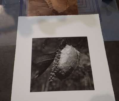image Jim Rees, dustgrain photogravure, 2020