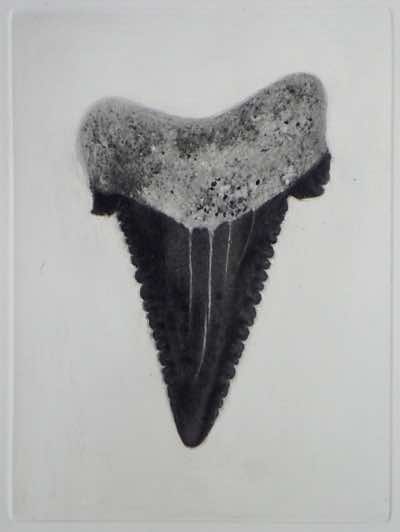 DAS sensitized gravure with scrape and burnish, 2013. I abandoned working with DAS sensitizer as I could never get smooth light tones to etch without mottling. This is most likely the first photogravure ever made with DAS sensitizer.