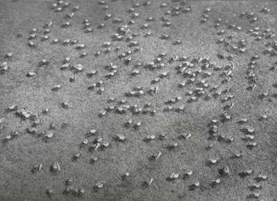 dustgrain photogravure, brush sensitized, 2014