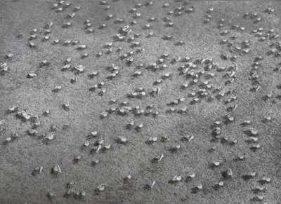 dustgrain photogravure