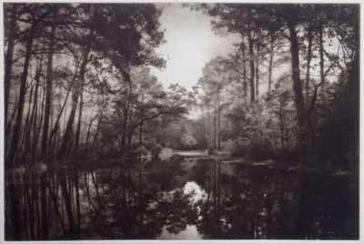 CB State park after Hurricane Matthew, 2016