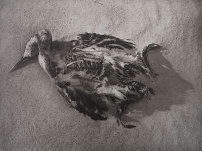 dustgrain photogravure