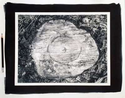 approx 95 years old, cyanotype toned with yerba maté