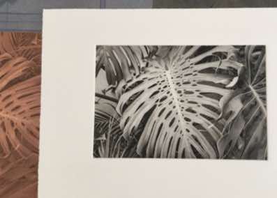 handmade gravure gelatin