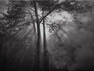 Photogravure approx 8x10