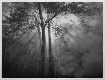 analogue aquatint screen