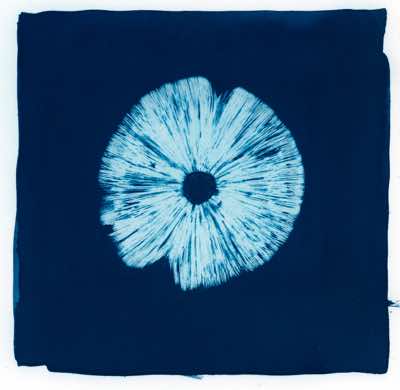 cyanotype