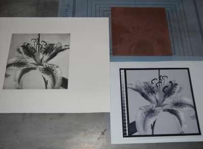 dustgrain photogravure