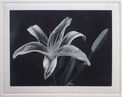 analog aquatint screen