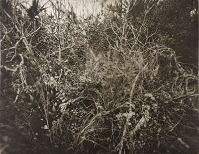 8x10" Pinhole photo, negative contact printed to ortho film, photogravure paper contact printed in the sun