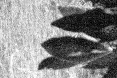 dustgrain gravure